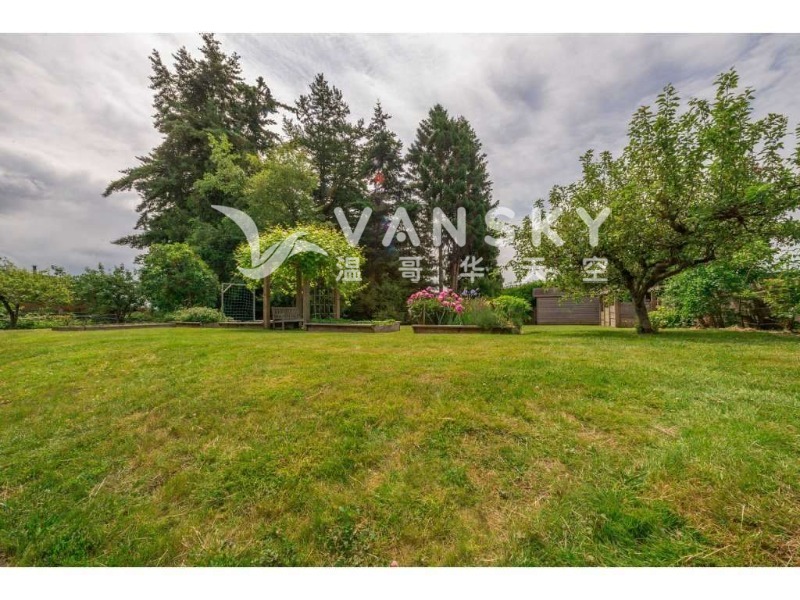 241005103840_262327206-19 copy.jpg